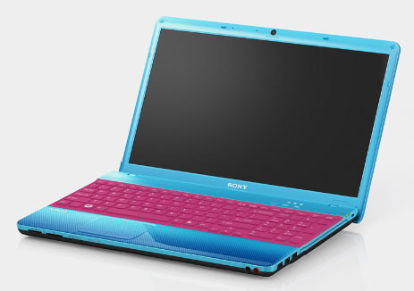 Sony has launched the VAIO E Series, a 15.5-inch stylish laptop featuring 