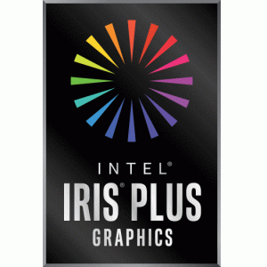 Intel Iris Plus G4 Graphics