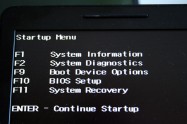 1 Enter BIOS and Boot Device Options